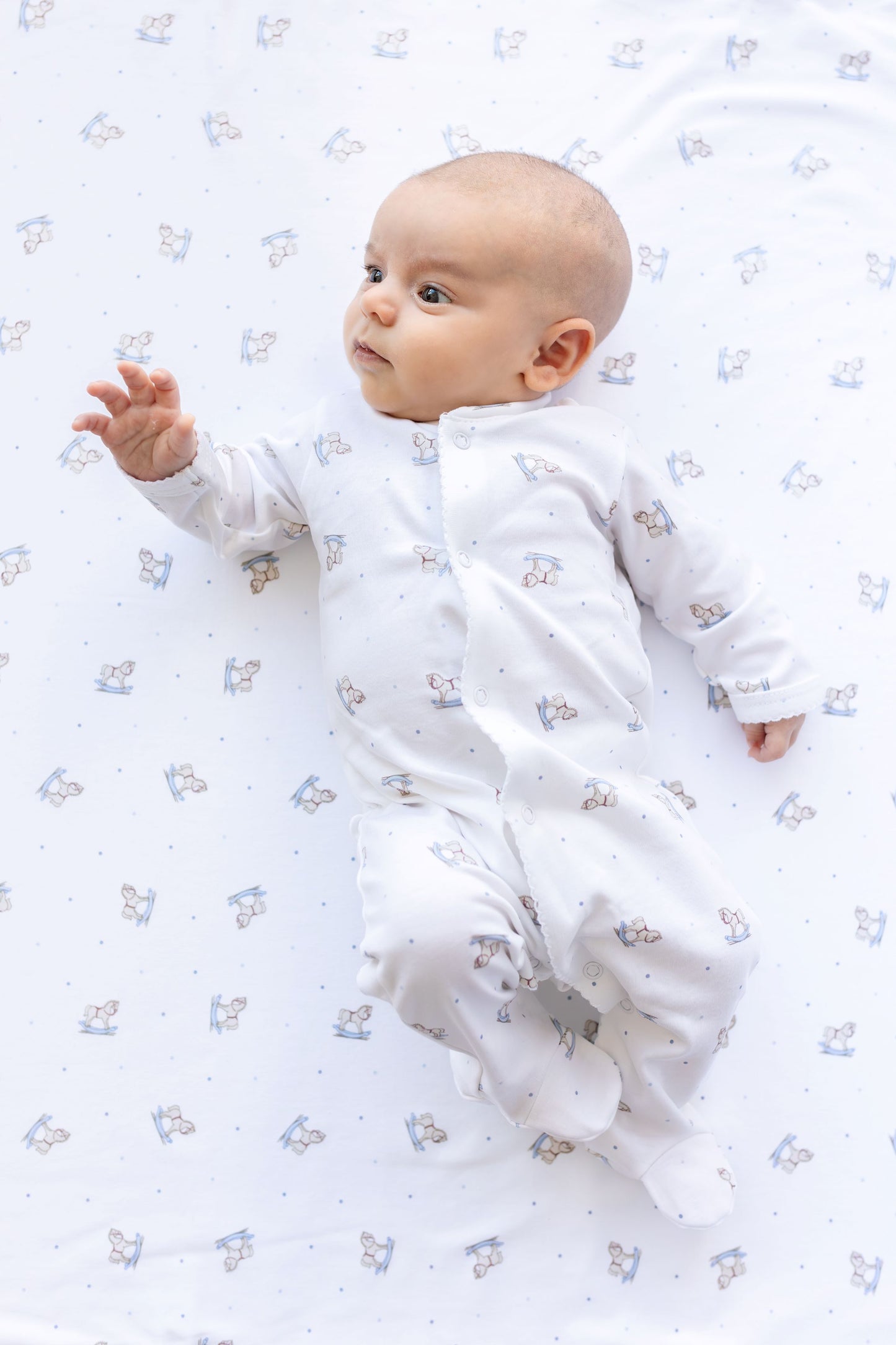 Warmi Enterito Picueta caballitos